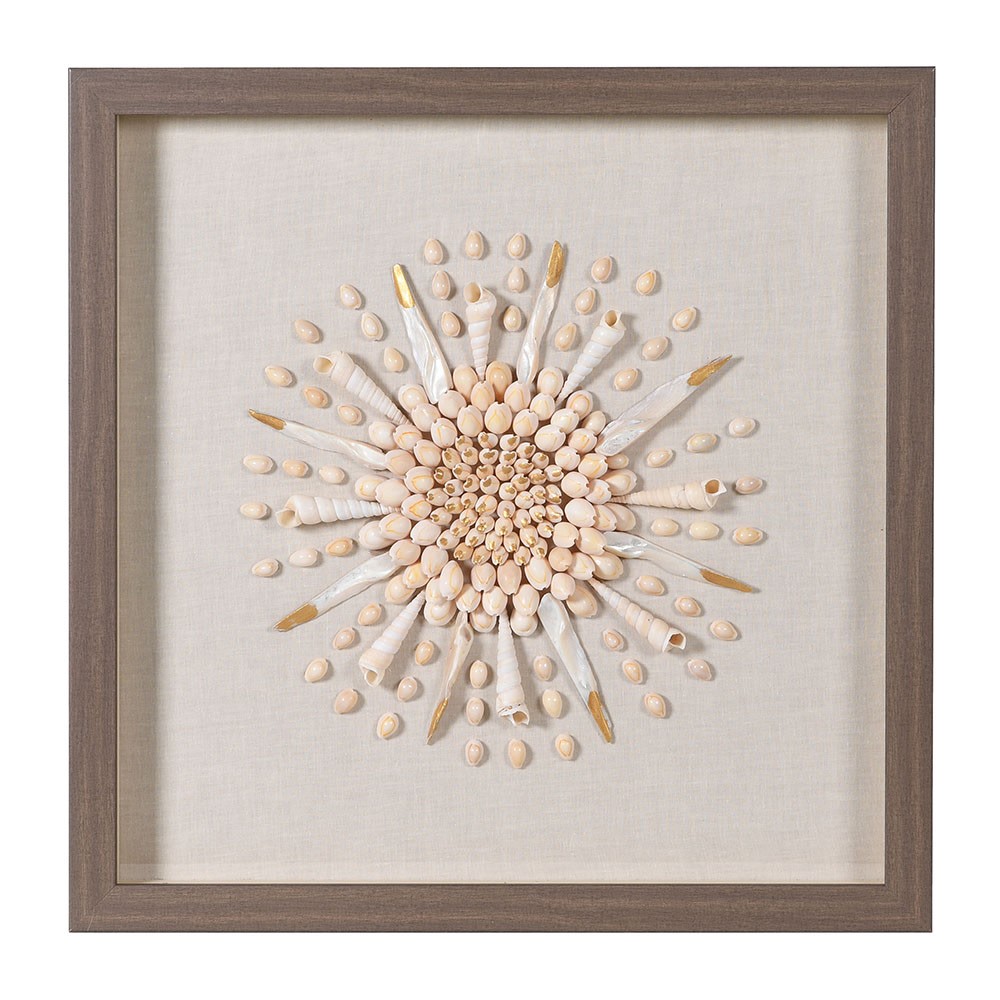 Shells Small Wall Art