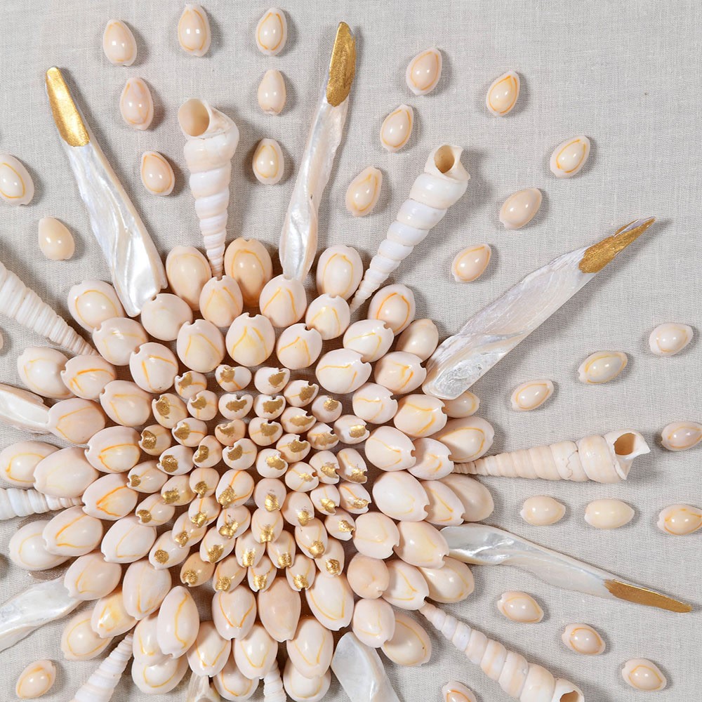 Shells Small Wall Art