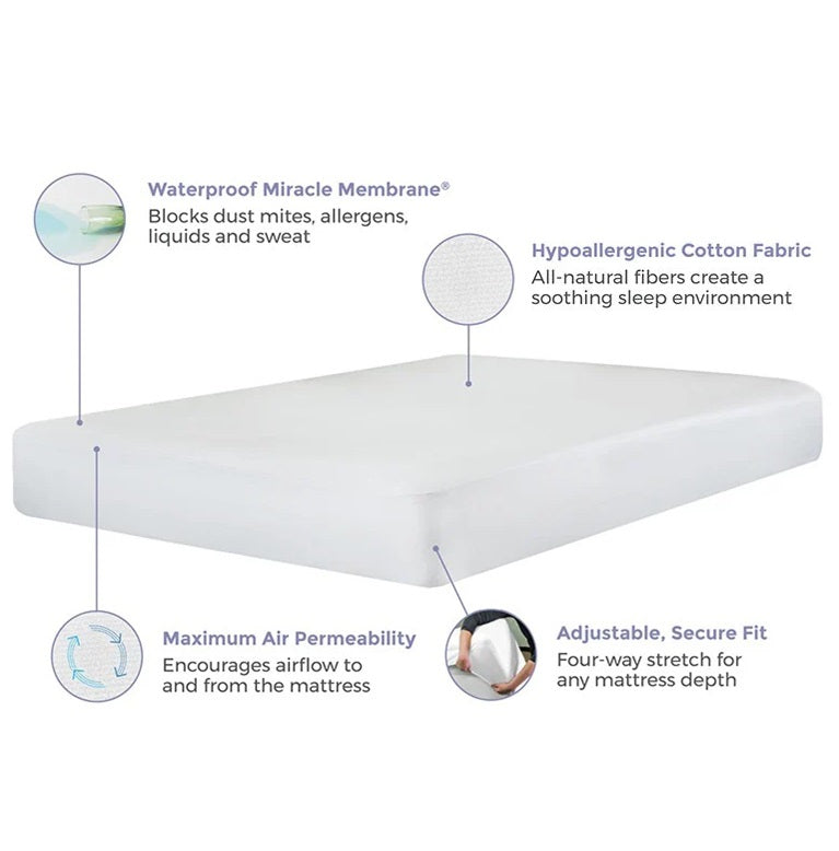 Cotton Mattress Protector & Fitted Sheet 2-in-1