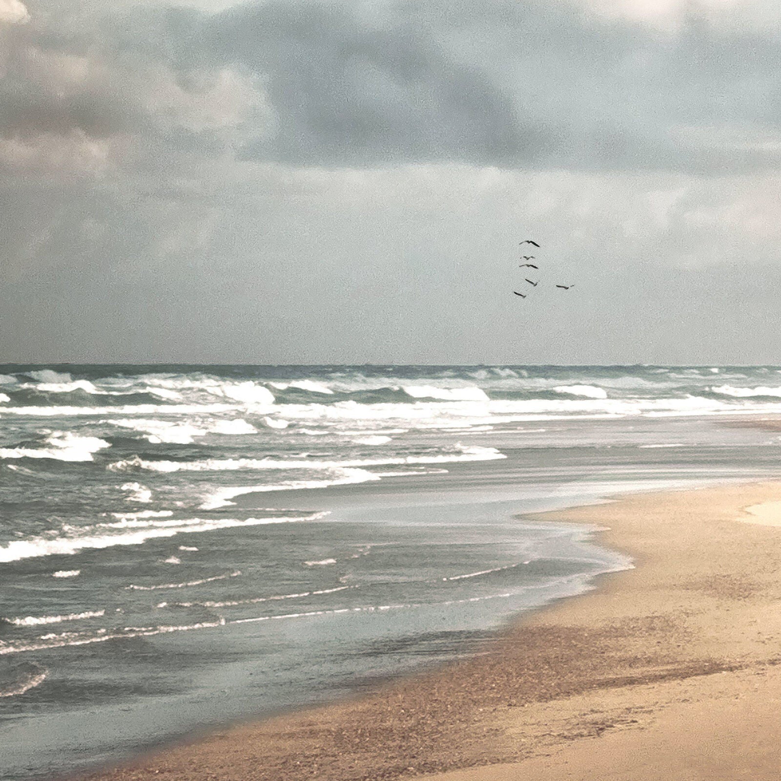 Dream Beach