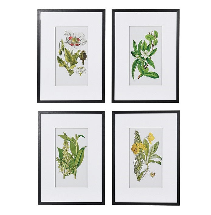 Set of 4 Floral Pictures
