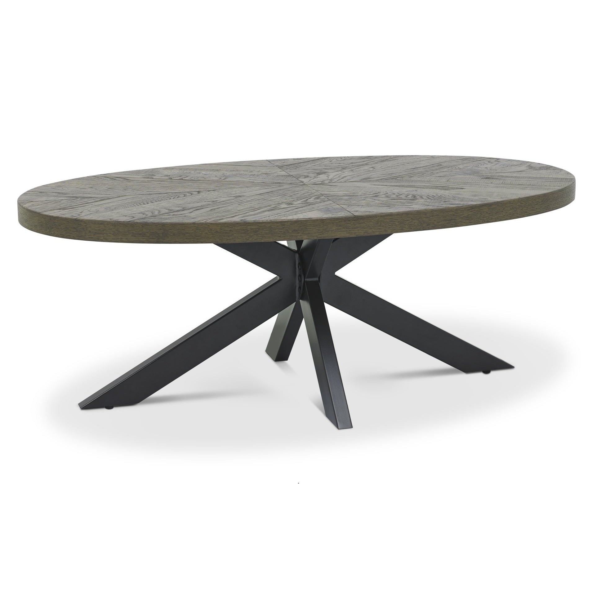 Ellipse Coffee Table