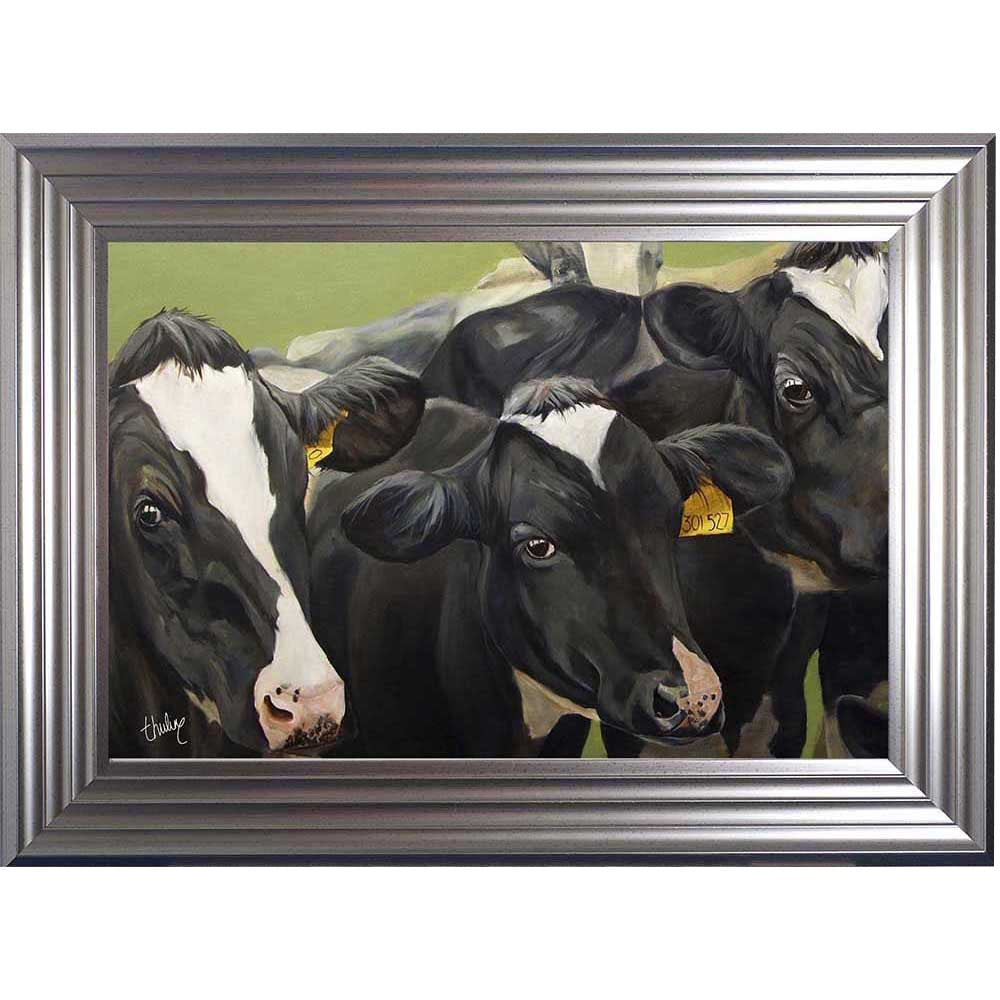 Three Musketeers Cow Picture - Various Sizes