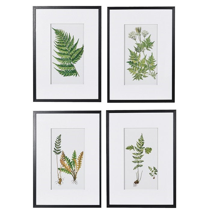 Set of 4 Fern Pictures
