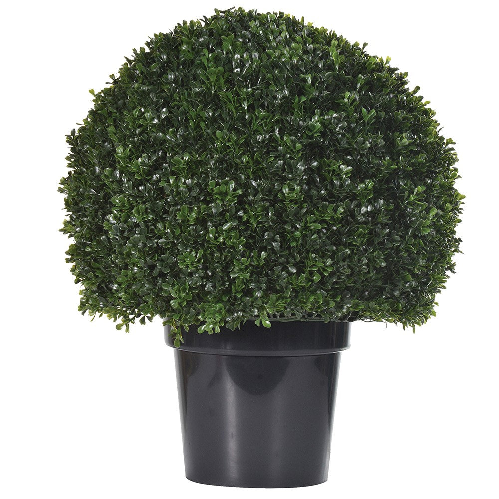 Green Outdoor Box Ball Topiary